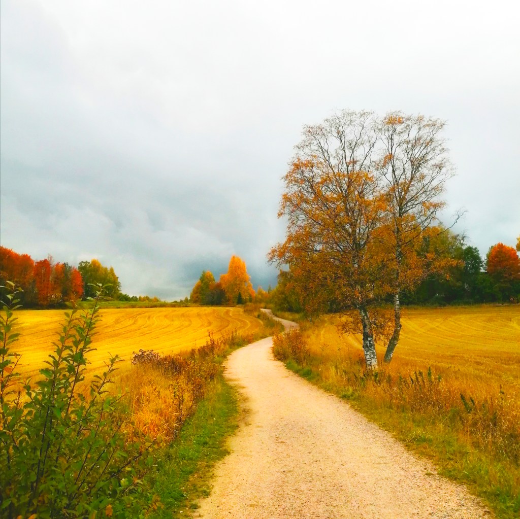 Johanna Lätti, ehdokas, kunnallisvaalit 2021 Vantaa Vihreät