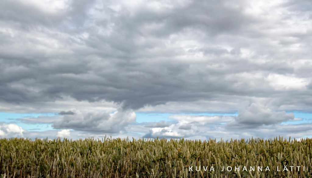 Johanna Lätti, ehdokas, kunnallisvaalit 2021 Vantaa Vihreät