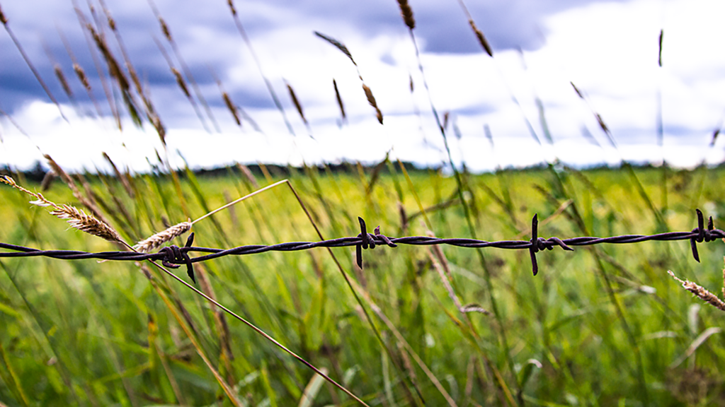 Johanna Lätti, ehdokas, kunnallisvaalit 2021 Vantaa Vihreät